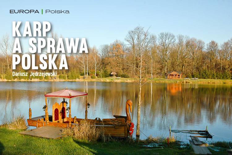 Losowy darmowy artykuł